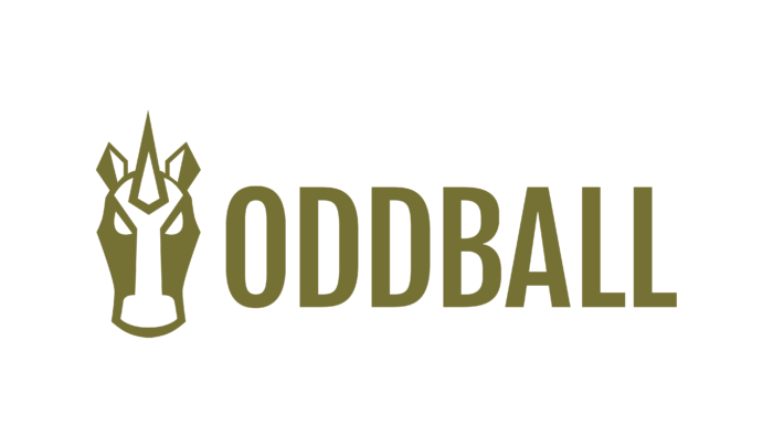 Oddball Fall Classic  Dragon Zone Paddling Club